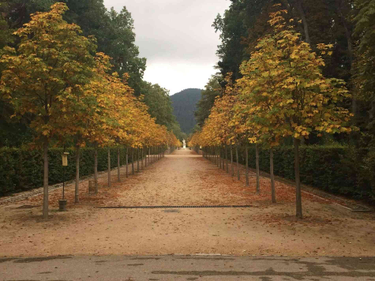 OpenGraph image for about.gitlab.com/blog/2021/05/20/vscode-workflows-for-working-with-gitlab/