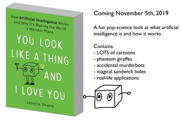 OpenGraph image for aiweirdness.com/post/186656280482/an-ai-weirdness-book