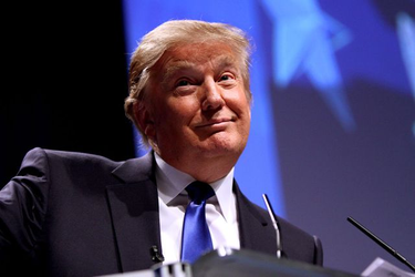 OpenGraph image for alastairadversaria.com/2016/11/10/how-social-justice-ideology-gave-us-donald-trump/