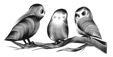 OpenGraph image for alistapart.com/article/axiomatic-css-and-lobotomized-owls/