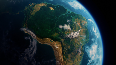 OpenGraph image for amazonia80x2025.earth/declaration/