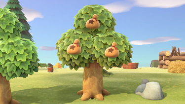 OpenGraph image for animalcrossing.fandom.com/wiki/Money_tree