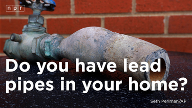 OpenGraph image for apps.npr.org/find-lead-pipes-in-your-home/
