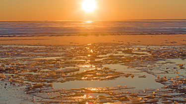 OpenGraph image for arstechnica.com/tech-policy/2019/03/judge-says-trump-cant-re-open-arctic-waters-that-obama-closed-to-drilling/