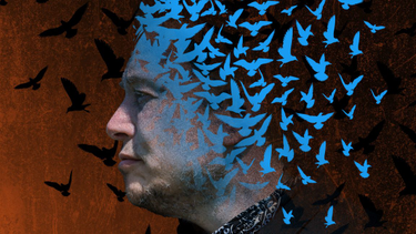 OpenGraph image for arstechnica.com/tech-policy/2022/07/twitter-sues-elon-musk-says-he-cant-trash-the-company-and-walk-away/