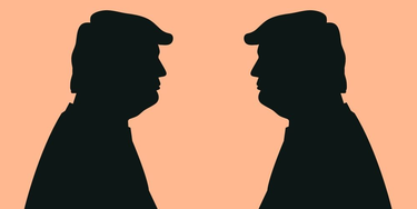 OpenGraph image for axbom.blog/trump-vs-trump-by-brown/