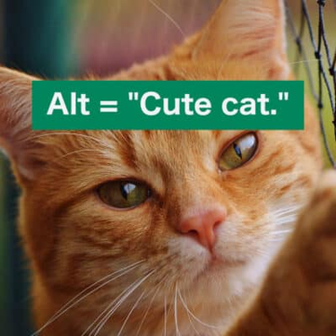 OpenGraph image for axesslab.com/alt-texts/