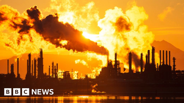 OpenGraph image for bbc.in/3cx9bqE