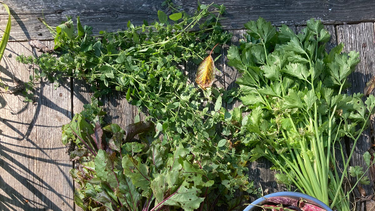 OpenGraph image for becomingcrew.substack.com/p/invest-in-growers-not-drivers?r=ge1az&utm_campaign=post&utm_medium=email&utm_source=