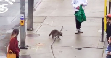 OpenGraph image for bit.ly/3kM0ZCk