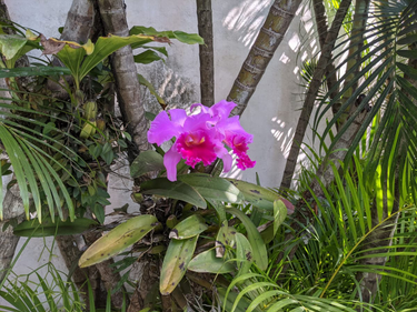 OpenGraph image for blog.discourse.org/2021/07/faster-user-uploads-on-discourse-with-rust-webassembly-and-mozjpeg/