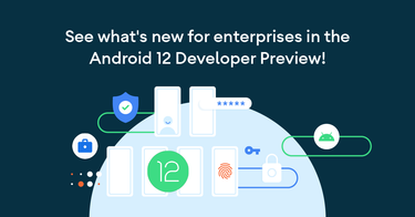 OpenGraph image for blog.google/products/android-enterprise/android-12-developer-preview/