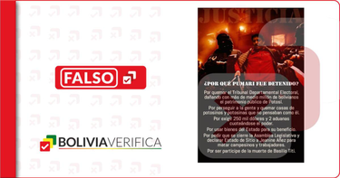 OpenGraph image for boliviaverifica.bo/en/pumari-no-fue-aprehendido-por-quemar-el-ted-o-casas-pedir-aduanas-o-que-se-cierre-la-alp/