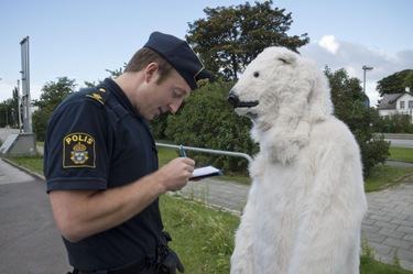 OpenGraph image for bongorama.com/2012/07/18/swedish-police-arresting-polar-bear-in-malmo/