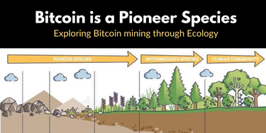 OpenGraph image for brandonquittem.com/bitcoin-is-a-pioneer-species/