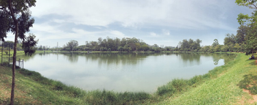 OpenGraph image for cate.blog/2016/12/04/this-week-148/