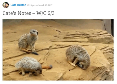 OpenGraph image for cate.blog/2017/03/16/the-weekly-notes-post/