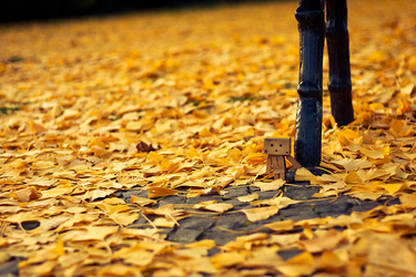 OpenGraph image for cate.blog/2017/03/23/running-a-manager-feedback-cycle/