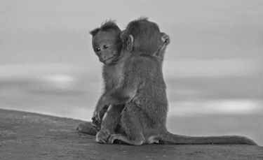 OpenGraph image for cate.blog/2017/04/18/but-unfortunately-as-you-know-people/