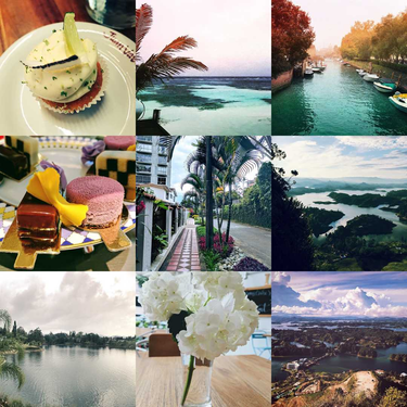 OpenGraph image for cate.blog/2018/01/09/2017-in-photos/