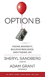 OpenGraph image for cate.blog/2018/01/26/book-option-b/