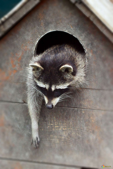 OpenGraph image for cate.blog/2018/04/03/whose-expectations-are-those-anyway/