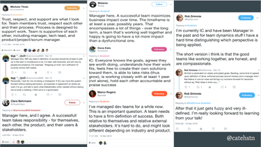 OpenGraph image for cate.blog/2018/04/17/how-do-teams-define-success/