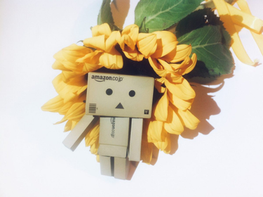 OpenGraph image for cate.blog/2021/09/20/being-the-dri-of-your-career/