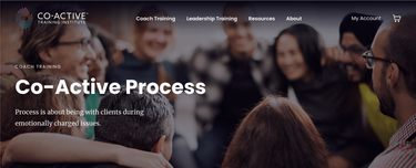 OpenGraph image for cate.blog/2021/11/01/co-active-process/