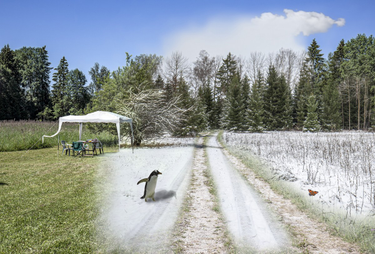 OpenGraph image for cate.blog/2021/12/20/your-action-plan-to-dri-your-career/