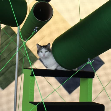 OpenGraph image for cats-in-residence.org/