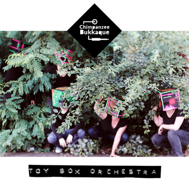 OpenGraph image for chimpanzeebukkaque.bandcamp.com/releases