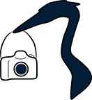 OpenGraph image for chuqui.com/2017/08/the-life-and-death-of-the-touch-bar-revisiting-the-macbook-pro/