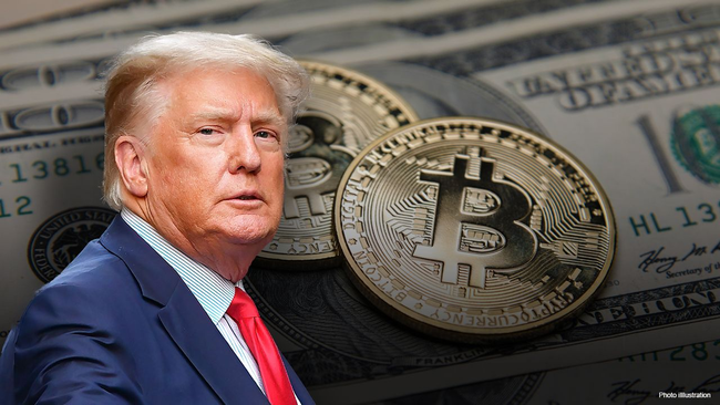 Preview image for: Trump Family Trusts Buy Crypto Stocks in Q1 2026