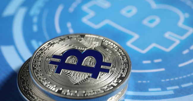 Preview image for: Bitcoin Holders' Share Hits Record High