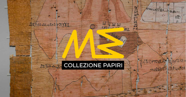 OpenGraph image for collezionepapiri.museoegizio.it/en-GB/section/Papyrus-Database/Policy-on-access-and-publication-of-papyri/