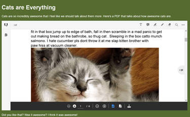OpenGraph image for css-tricks.com/wrangling-control-over-pdfs-with-the-adobe-pdf-embed-api/