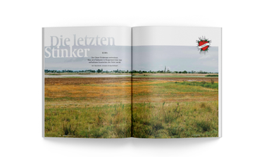 OpenGraph image for datum.at/die-letzten-stinker/