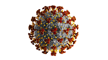 OpenGraph image for deadline.com/2021/01/another-new-covid-19-variant-in-l-a-vaccine-resistant-denmark-1234675834