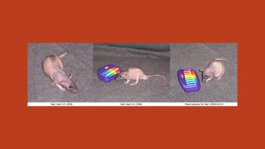 OpenGraph image for defector.com/a-brief-and-fruitful-quest-to-find-neil-who-banged-out-the-tunes/