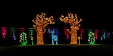 OpenGraph image for https://dev.to/nickytonline/advent-of-ai-2025-day-4-building-a-winter-festival-website-with-goose-3oac