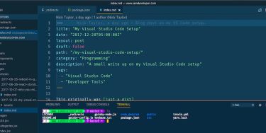https://dev.to/nickytonline/my-visual-studio-code-setup-2ima