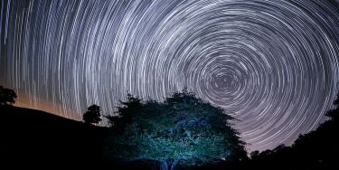 OpenGraph image for https://dev.to/nickytonline/quick-simple-rating-code-pen-3ecp