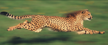 OpenGraph image for digiday.com/media/buying-facebook-traffic/amp/