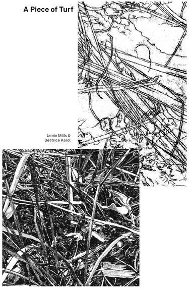 OpenGraph image for downpour.games/~Jamie_Mills/a-piece-of-turf