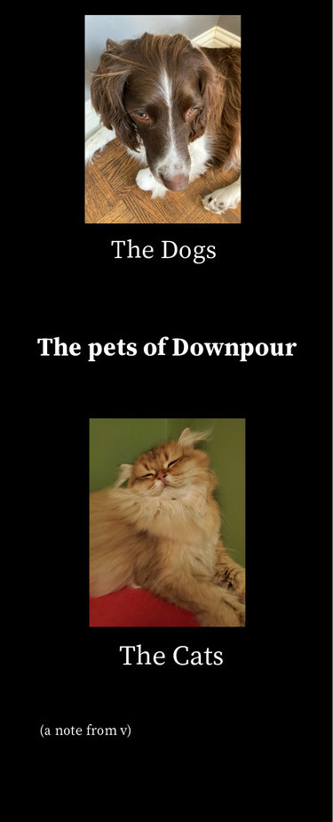 OpenGraph image for downpour.games/~admin/pets-of-downpour