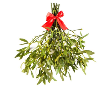 OpenGraph image for drjengunter.wordpress.com/2018/10/01/its-time-to-winterize-your-vagina/