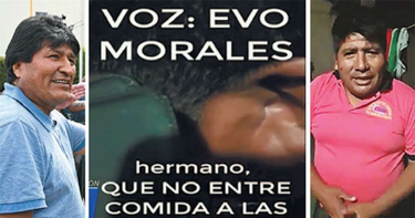 OpenGraph image for eldeber.com.bo/pais/tres-pericias-avalan-que-evo-morales-instruyo-cercar-ciudades_189182