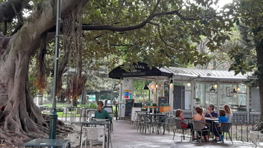 OpenGraph image for elpais.com/economia/2022-10-31/el-sistema-fiscal-bipolar-de-portugal-penaliza-a-los-portugueses-y-beneficia-a-los-extranjeros.html