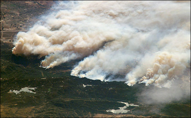 OpenGraph image for en.m.wikipedia.org/wiki/Fire_ecology